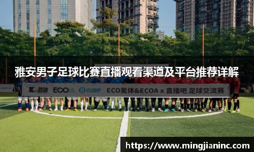 球友体育在线直播观看