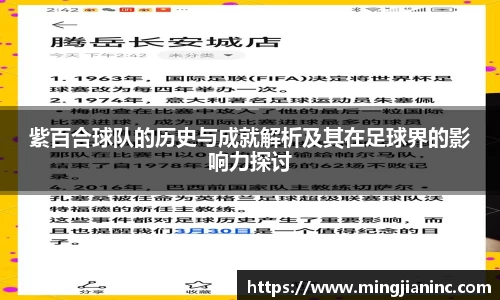 紫百合球队的历史与成就解析及其在足球界的影响力探讨
